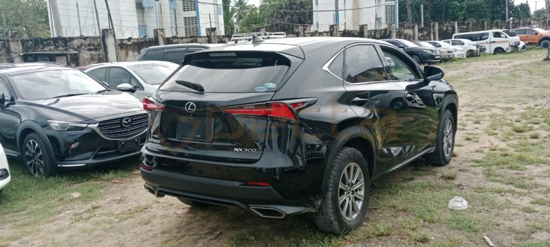 2018 Lexus NX300